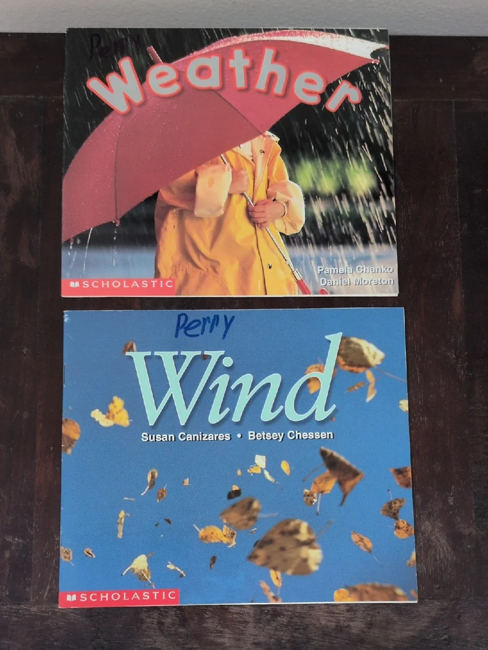 Scholastic Paperback Book Set of 12 Weather Themed Used Books